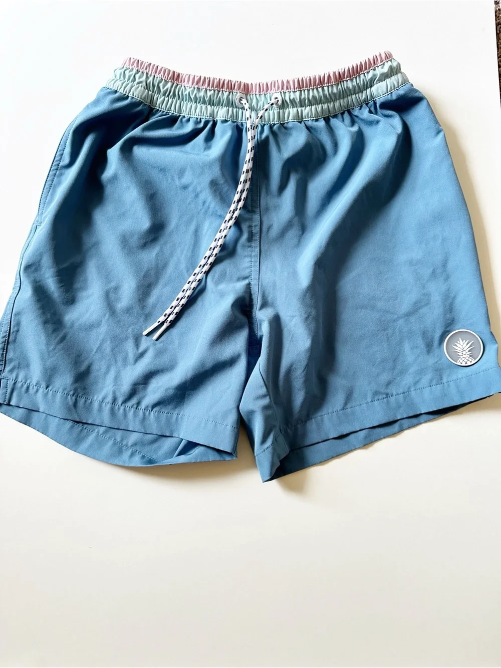 Chubbies Pastel Blue 5 1/2 inch Quick Dry Boxer Brief Liner Swim Trunks